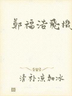 郑福浩飞机坠海