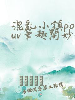 混乱小镇popuv笔趣阁妙妙