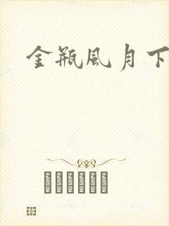金瓶风月下载