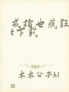 戒指也疯狂txt下载