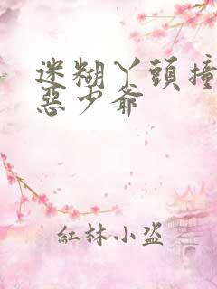 迷糊丫头撞上邪恶少爷