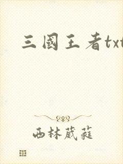 三国王者txt