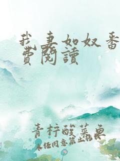 我妻如奴番外免费阅读