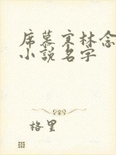 席慕寒林念儿的小说名字