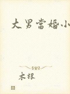 大男当婚小说