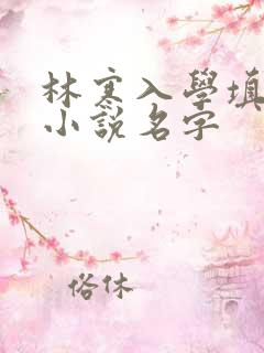 林寒入学填未婚小说名字