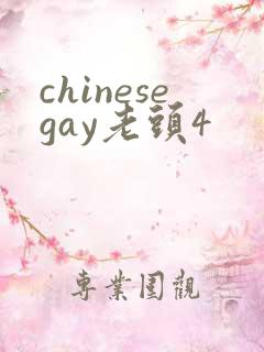chinesegay老头4
