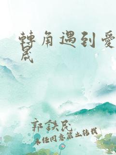 转角遇到爱 李晟