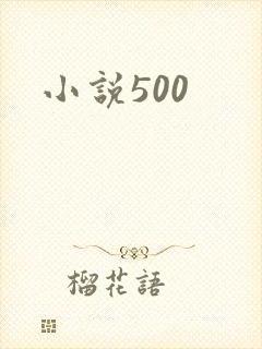 小说500