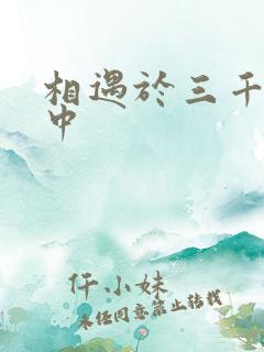 相遇于三千肉文中