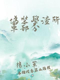 伪装学渣所有开车部分