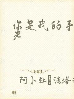 你是我的手冢国光