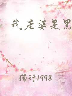 我老婆是黑社会