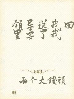 领导送我回家车里要了我