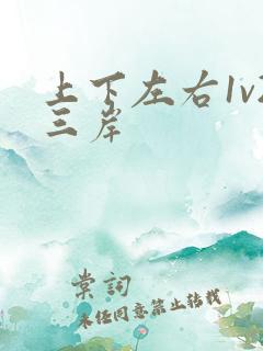 上下左右1v2三岸