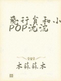 飞行员和小空乘POP沈沉