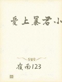 爱上暴君小甜心