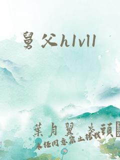 舅父h1vl1