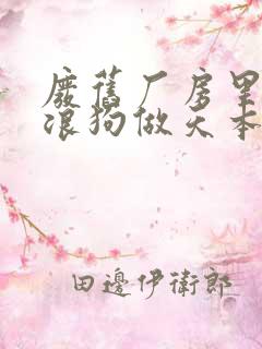 废旧厂房里和流浪狗做天本