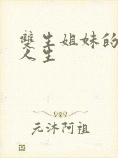 双生姐妹的错位人生