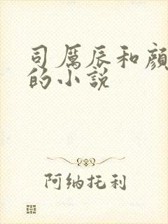 司厉辰和颜辞兮的小说