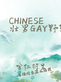 CHINESE壮男GAY野战强迫TUBE