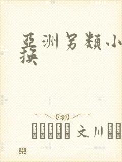 亚洲另类小说交换