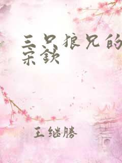 三只狼兄的宠妻宋钦