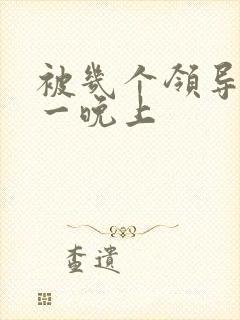 被几个领导玩弄一晚上