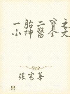 一胎二宝之弃妃小神医全文免费阅读