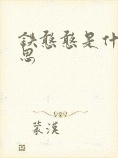 铁憨憨是什么意思