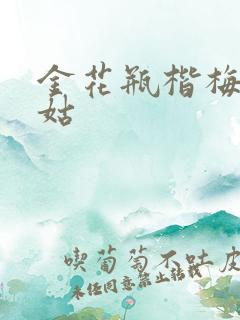 金花瓶楷梅花尼姑