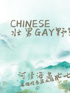 CHINESE壮男GAY野战强迫TUBE