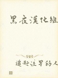 黑夜汉化组