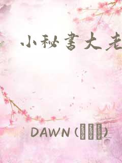 小秘书大老婆
