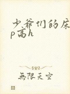 少爷们的床奴np高h