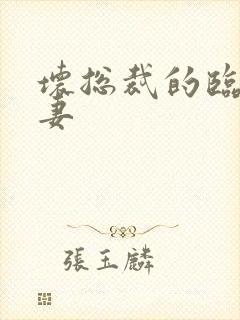 坏总裁的临时娇妻