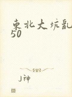 东北大坑乱1—50