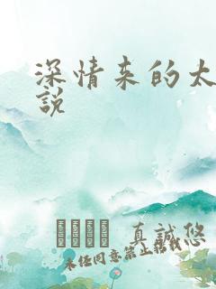 深情来的太迟小说