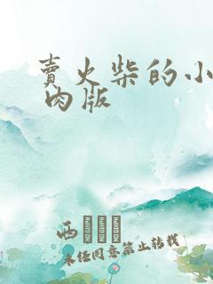 卖火柴的小男孩 肉版