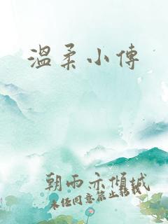 温柔小传