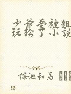 少爷受被粗汉H玩松了小说