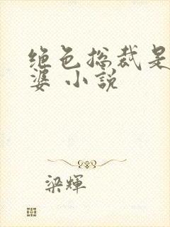 绝色总裁是我老婆 小说