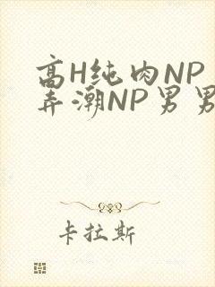 高H纯肉NP 弄潮NP男男