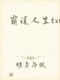 霸道人生txt
