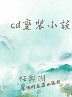 cd变装小说