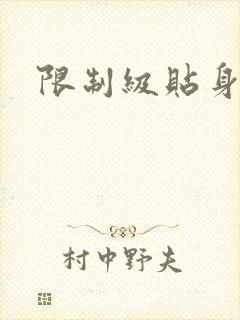 限制级贴身高手