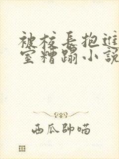 被校长抱进办公室糟蹋小说