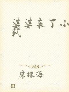 婆婆来了小说下载