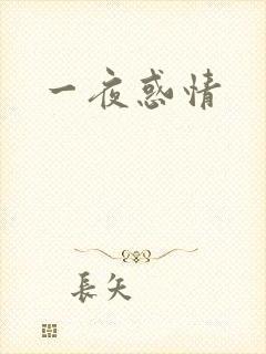 一夜惑情
